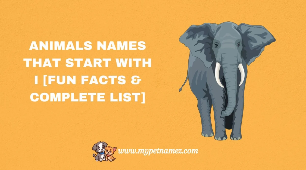 301 Animals Names That Start with I [Fun Facts & Complete List]