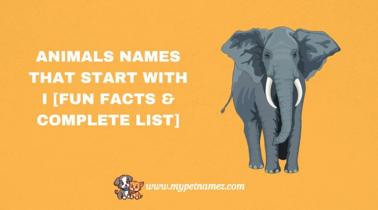 301 Animals Names That Start with I [Fun Facts & Complete List]