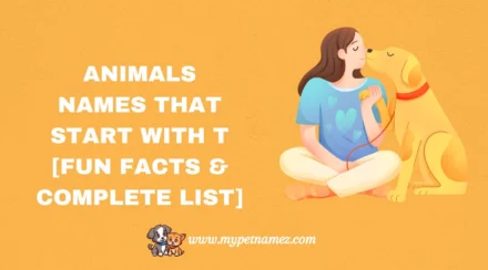 301 Animals Names That Start with T [Fun Facts & Complete List]