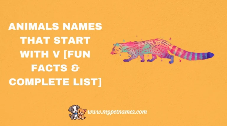 301 Animals Names That Start with V [Fun Facts & Complete List]