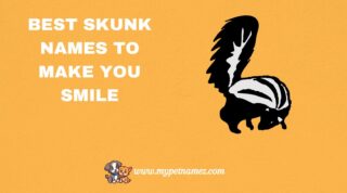 301 Best Skunk Names to Make You Smile