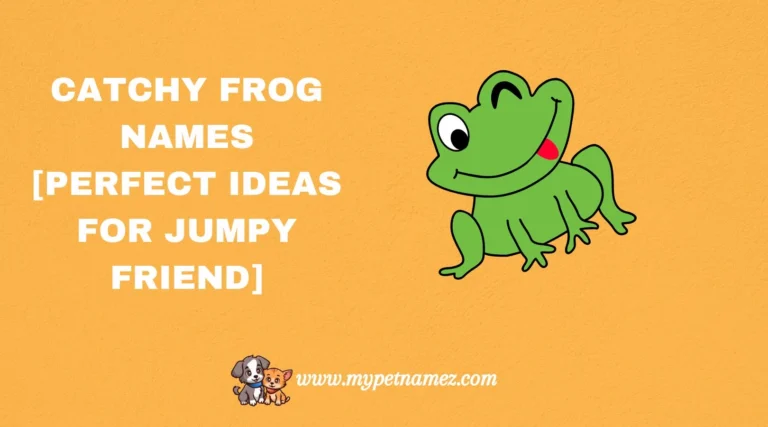 301 Catchy Frog Names [Perfect Ideas for Jumpy Friend]