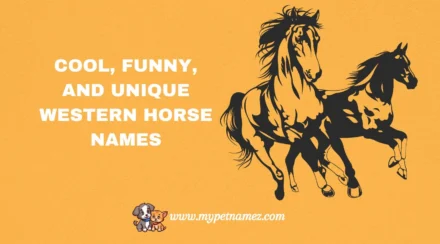 301 Cool, Funny, and Unique Western Horse Names