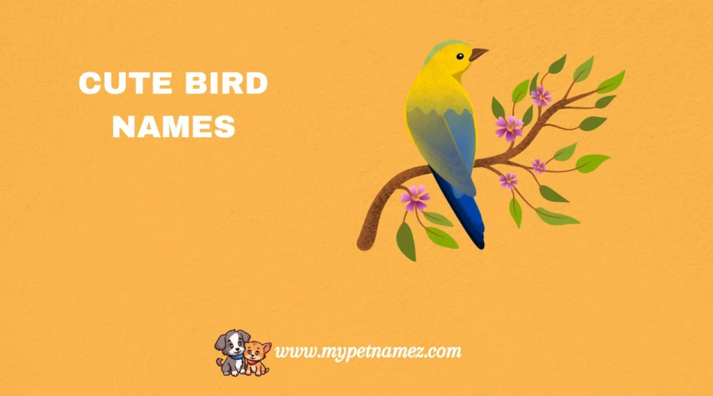 Cute Bird Names