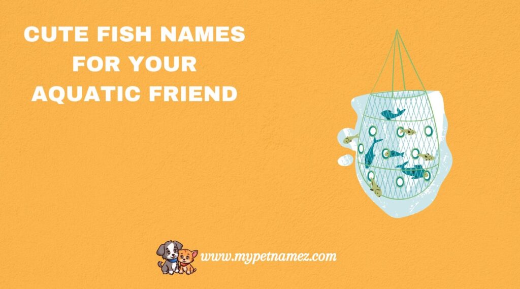 Cute Fish Names for Your Aquatic Friend