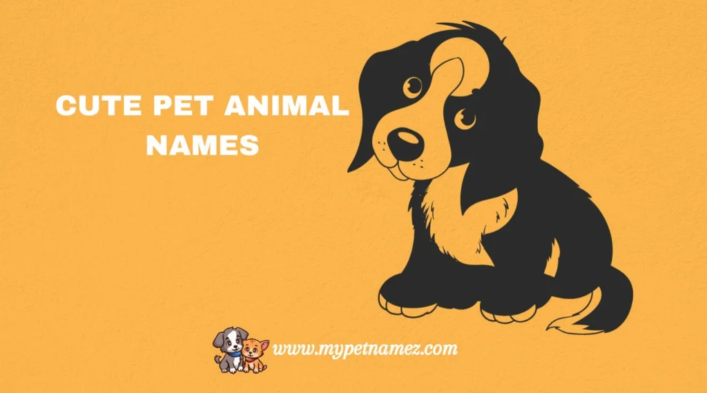 Cute Pet Animal Names