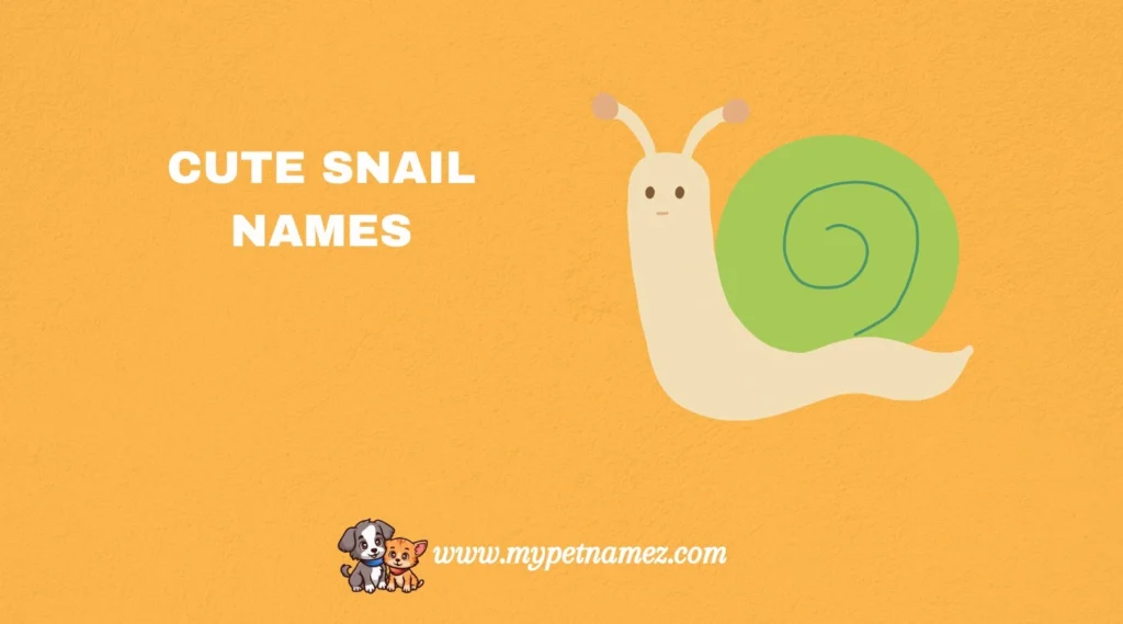 Cute Snail Names