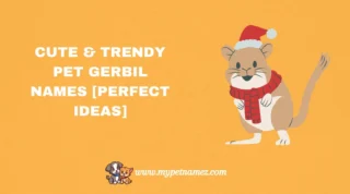301 Cute & Trendy Pet Gerbil Names [Perfect Ideas]