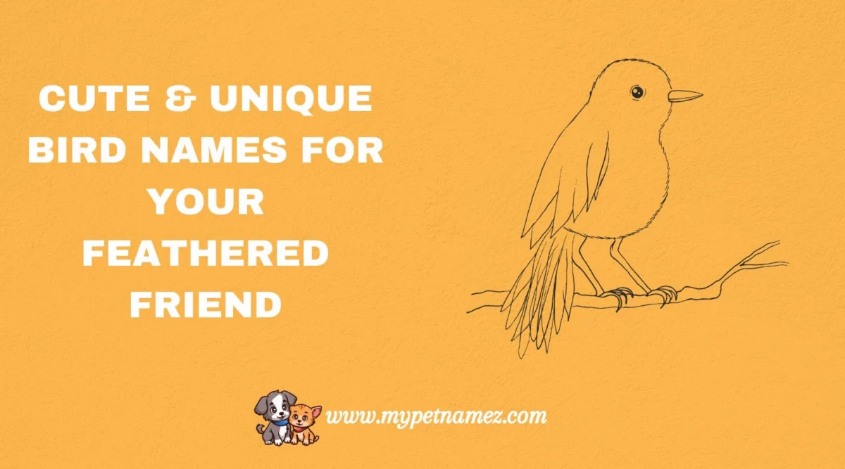301 Cute & Unique Bird Names For Your Feathered Friend