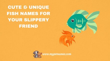 301 Cute & Unique Fish Names for Your Slippery Friend
