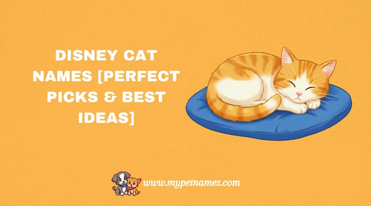 301 Disney Cat Names [Perfect Picks & Best Ideas]