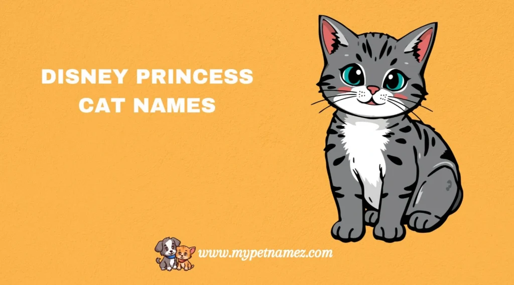 Disney Princess Cat Names
