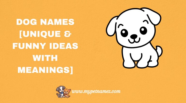 301 Dog Names [Unique & Funny Ideas with Meanings]