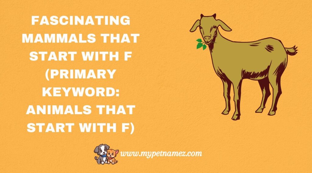 Fascinating Mammals That Start with F (Primary Keyword: Animals That Start with F)