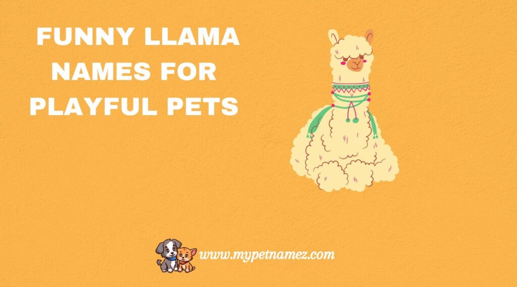  Funny Llama Names for Playful Pets