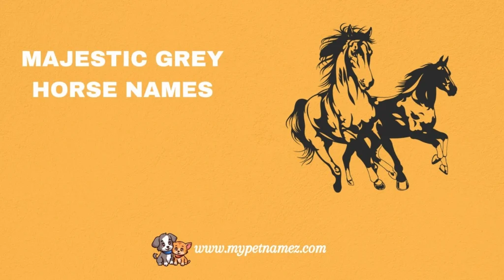 Majestic Grey Horse Names