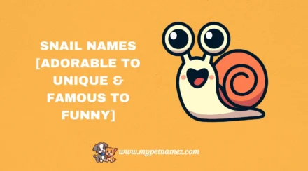 301 Snail Names [Adorable to Unique & Famous to Funny]