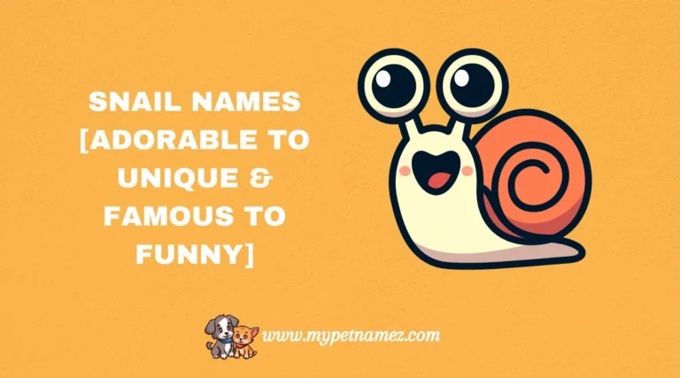 301 Snail Names [Adorable to Unique & Famous to Funny]
