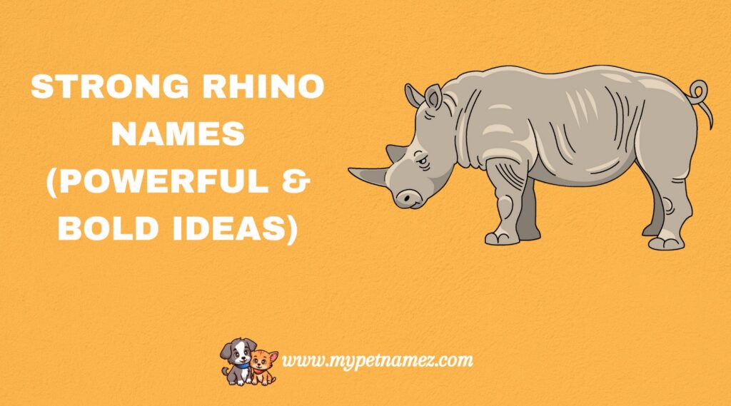Strong Rhino Names (Powerful & Bold Ideas)