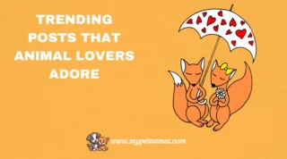  301 Trending Posts That Animal Lovers Adore