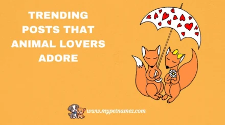 301 Trending Posts That Animal Lovers Adore