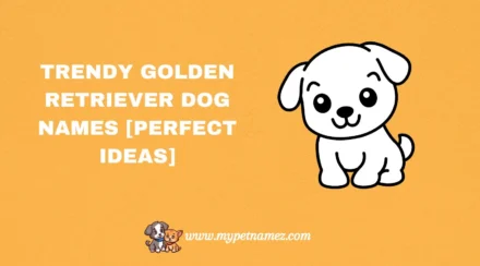 301 Trendy Golden Retriever Dog Names [Perfect Ideas]