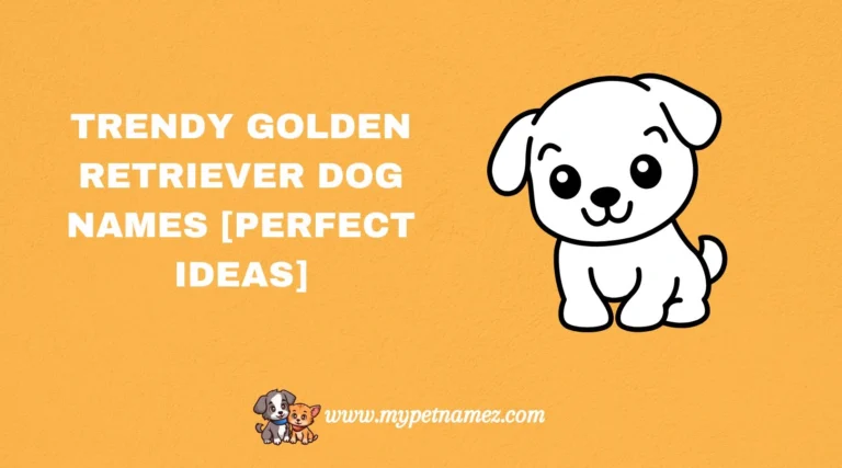 301 Trendy Golden Retriever Dog Names [Perfect Ideas]