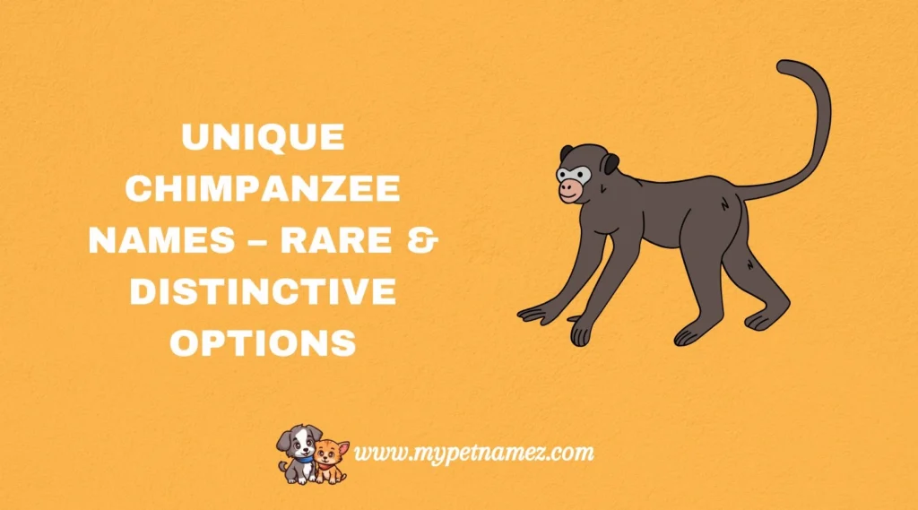 Unique Chimpanzee Names – Rare & Distinctive Options