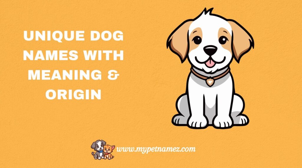 Unique Dog Names With Meaning & Origin