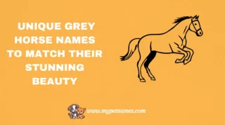 301 Unique Grey Horse Names to Match Their Stunning Beauty