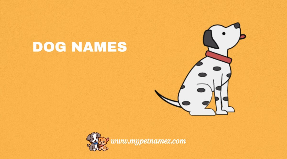 301 Husky Dog Names: Perfect Ideas for Your Puppies